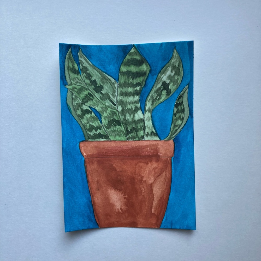 Watercolor Plant Painting